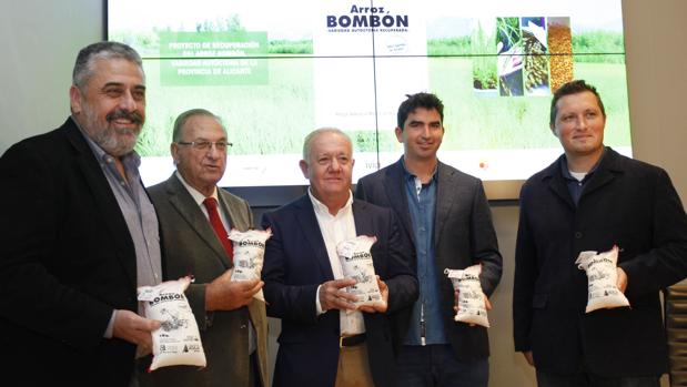 Moll, Aniorte, Cañadas, Dominguis y Moya, con pequeñas sacas del arroz «bombón»