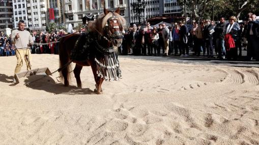 Demostración en el secadero urbano de arroz