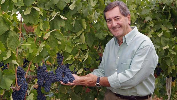 Alfonso Cortina, empresario y propietario de la bodega