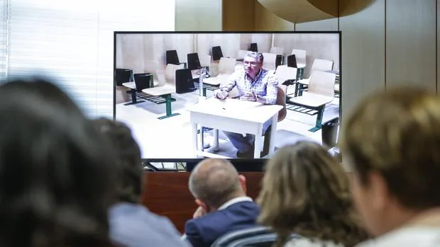 Granados, cuando declaró por vídeoconferencia en la Asamblea de Madrid