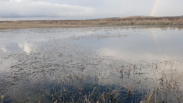 Imagen de un terreno inundado en Olías del Rey