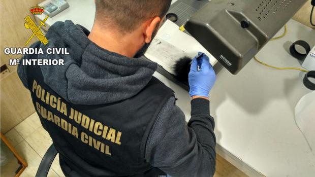 Imagen de la operación de la Guardia Civil