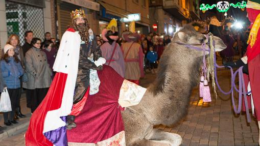 La asociación Defensa Animal ha criticado el uso de camellos en la cabalgata