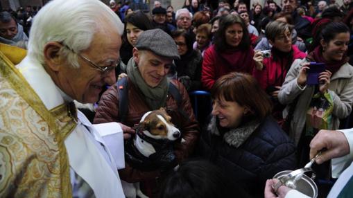 Tradicional bendición de animales en la parroquia de San Antón