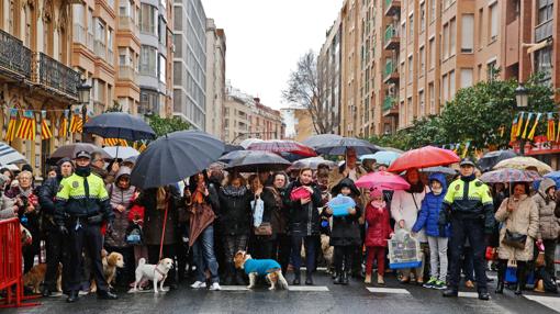 Imagen tomada este martes en Valencia durante la festividad de San Antón