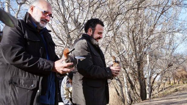 Varias parejas de patos de diferentes especies se han traído desde el Centro de Recuperación Cañada de los Pájaros de Sevilla