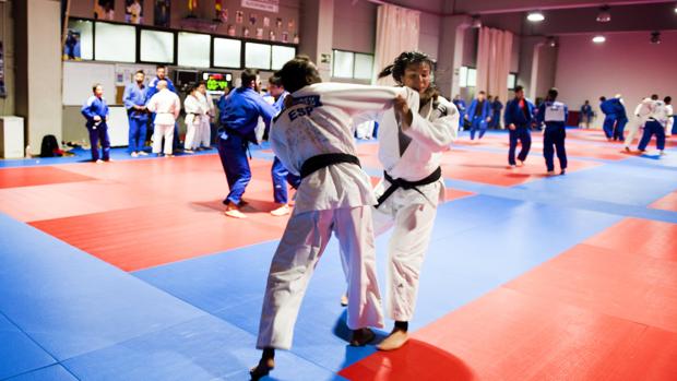 El Valencia Club de Judo ofrece a la Diputación el Campeonato de Europa