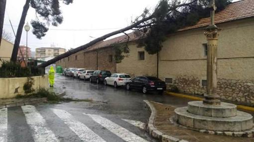 El viento destruye la muralla del Castillo de Planes y ensucia el litoral