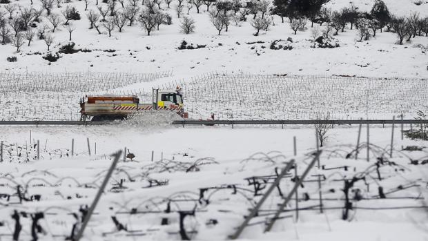 Imagen de las nevadas registradas en Requena