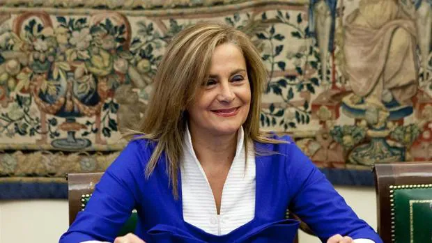 La presidenta de la Diputación de Pontevedra, Carmela Silva