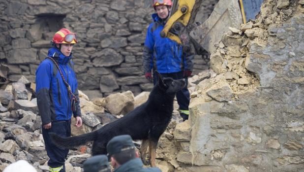 Perros adiestrados participan en las labores de búsqueda en Bóveda (Lugo)