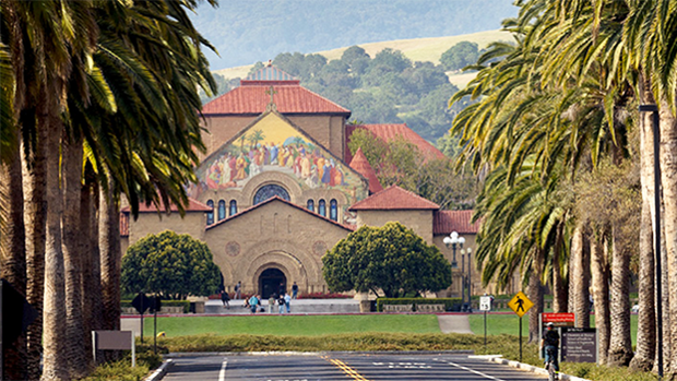 Las palmeras canarias de la Universidad de Stanford