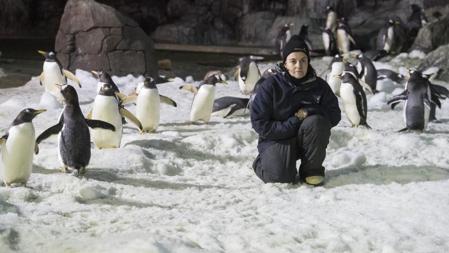 Yolanda Martín, rodeada de pingüinos en Faunia