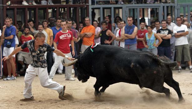 Imagen de archivo de un festejo de «bous al carrer»