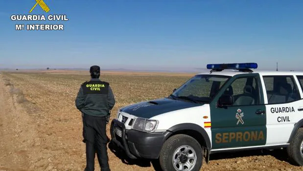 Ocho agricultores de Teruel, imputados por «piratear» semillas de cebada
