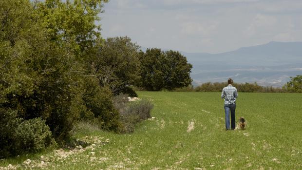 Imagen de uno de los escenarios de la comarca de La Alcarria