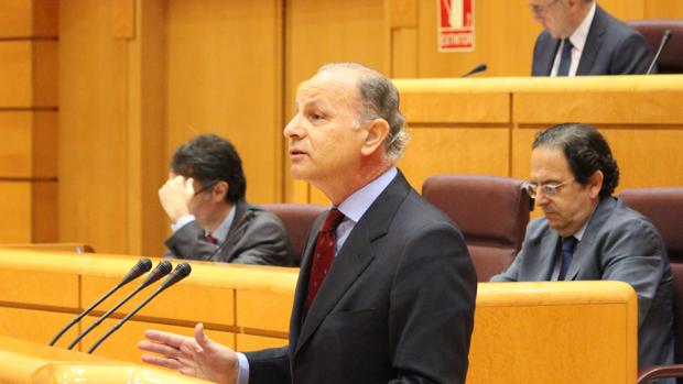 Jorge Rodríguez, senador autonómico de Canarias por el PP