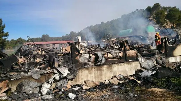 Un incendio arrasa una granja de 9.000 cerdos en Venta del Moro