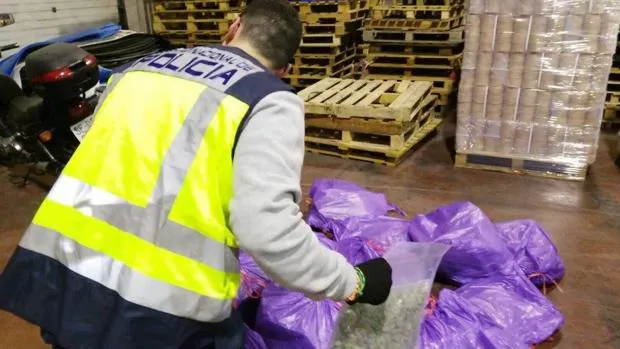 Exportan decenas de kilos de marihuana por correo entre bolsas de basura