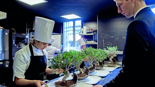 El helado de oliva verde se presenta en un bonsai de olivo