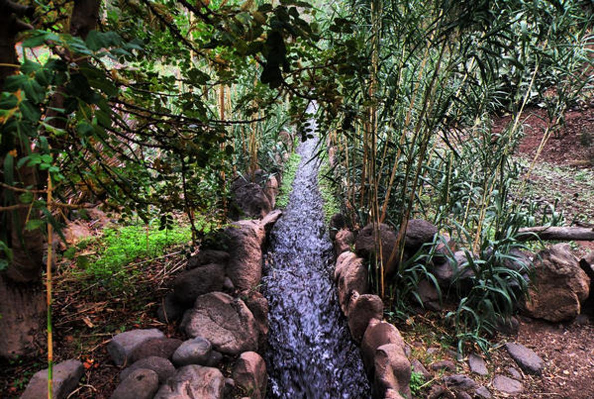 Guayadeque, Gran Canaria