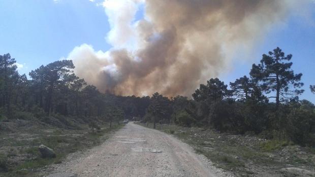 El primer incendio forestal de la Semana Santa obliga a movilizar medios aéreos en Enguera