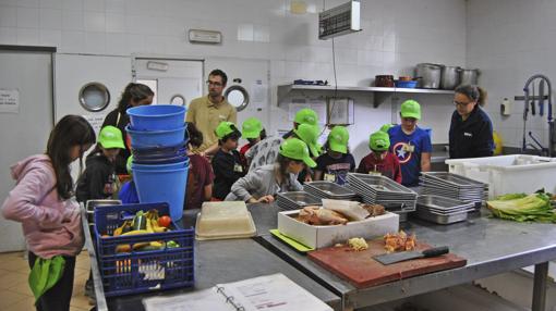 Imagen de la escuela de vacaciones de Bioparc Valencia