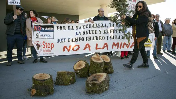 El colectivo «Stop Uranio» protesta contra la tala de encinas y la mina proyectada en Retortillo