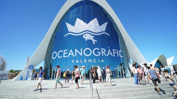 Imagen del Oceanogràfic de Valencia durante la Semana Santa