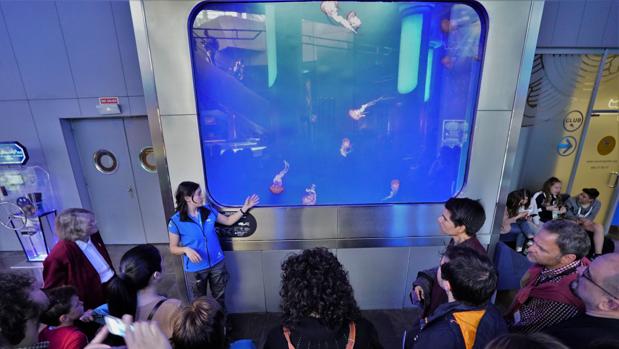 Imagen de la exhibición de medusas del Oceanogràfic de Valencia