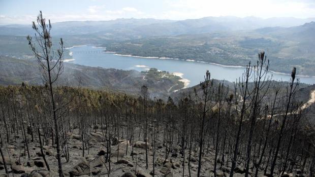 Superficie calcinada en el incendio firestal de Entrimo (Orense) el pasado verano