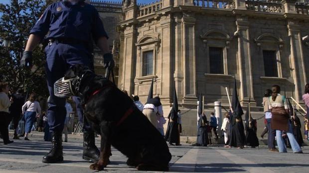Perros policía detectan 227 bellotas de hachís en dos tetra-brik en Elche