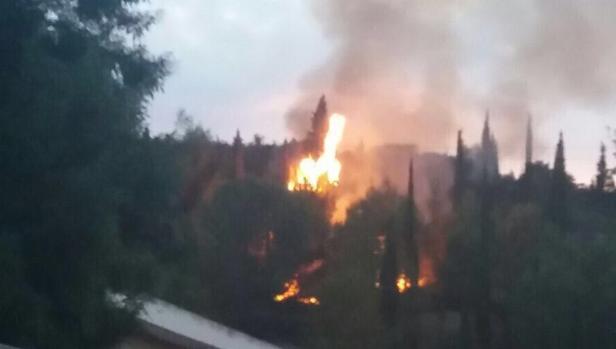 Incendio declarado este miércoles en una pinada de Pedralba