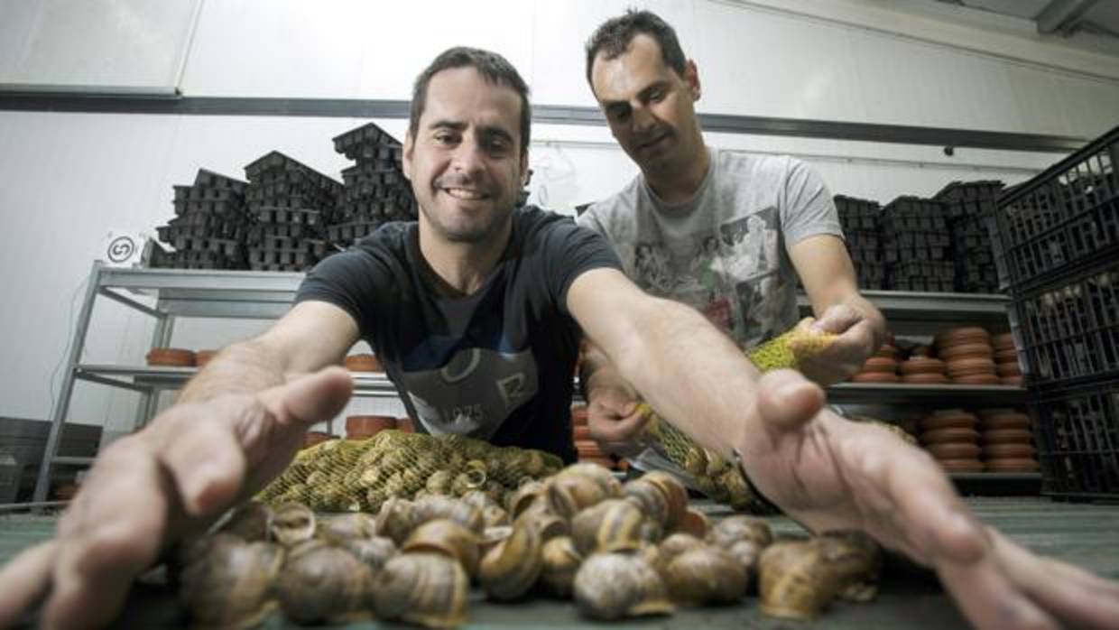 Raúl y Jorge Benito Pastor, en las instalaciones de Helix Zamarro (Salamanca)