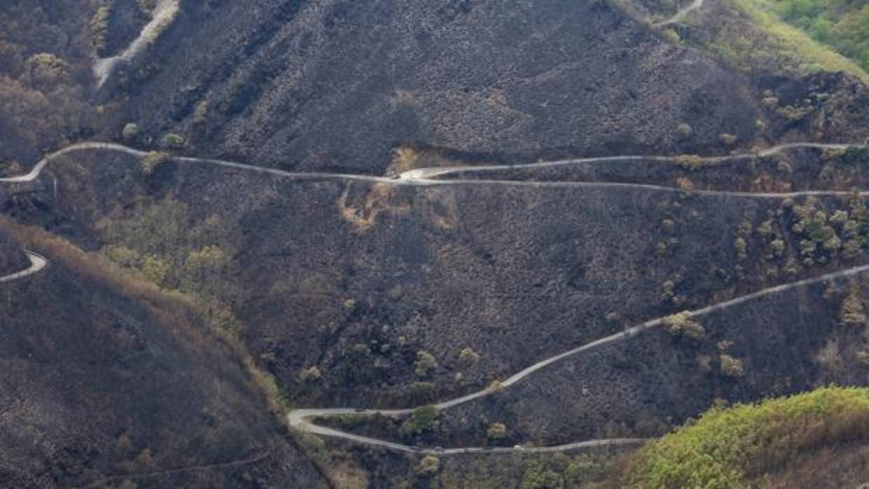 Incendio registrado en la Tebaida Berciana el pasado abril