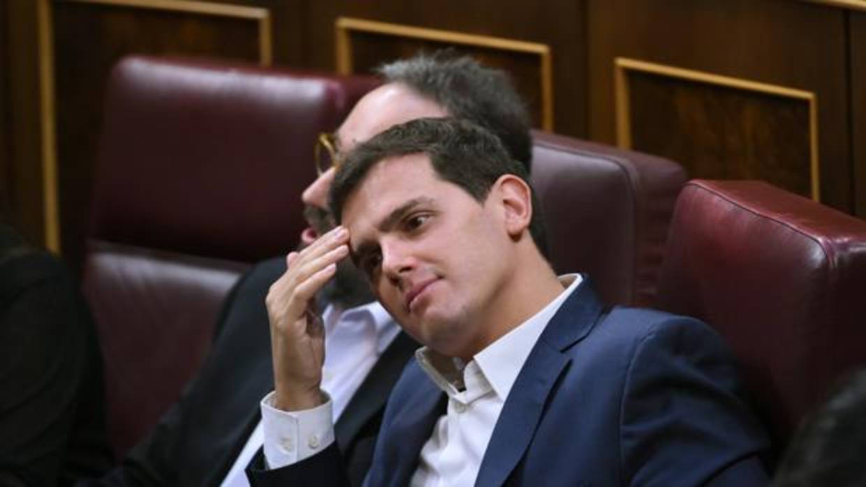 Albert Rivera, presidente de Ciudadanos