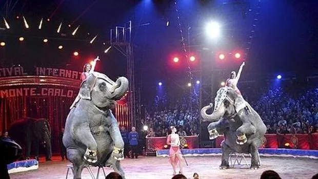 Uno de los espectáculos del Gran Circo Mundial
