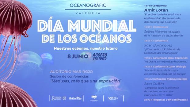 El Oceanogràfic organiza un ciclo para explicar la situación de las medusas y los secretos de su exposición