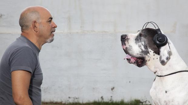 Imagen de «Fantasía Canina», del Festival Tercera Setmana