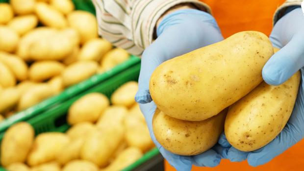 Imagen de unas patatas en los lineales de Mercadona