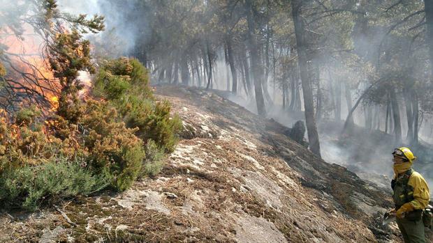 Alrededrod de 70 efectivos, gracias a la incorporación de la UME, continuaron trabajando al anochecer