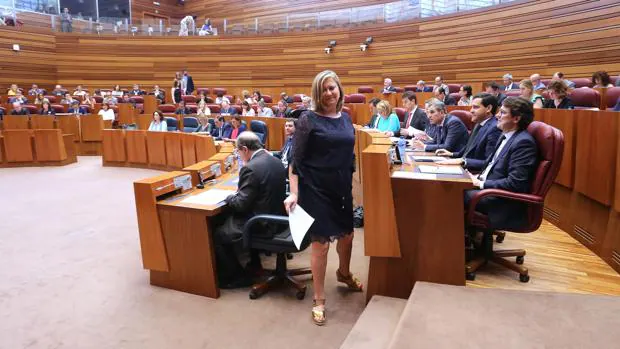 La consejera de Hacienda, Pilar del Olmo, se dirige al atril en el Pleno de Presupuestos