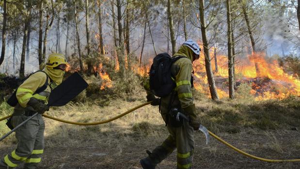 Brigadistas trabajando en la extinción de un incendio forestal en Ourense