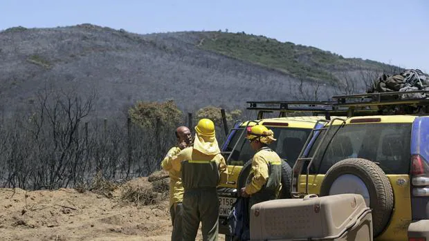 Efectivos del servicio de extinción de incendios forestales de la región