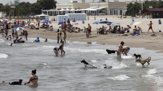 Imagen tomada este martes en la playa permitida para perros en Pinedo