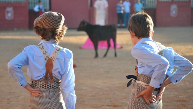 Los niños de ocho años podrán entrar en la Escuela de Tauromaquia de Salamanca