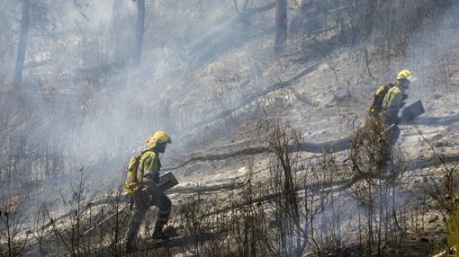 Dos bomberos trabajan en la extinción del incendio