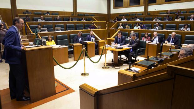 El Parlamento vasco pide la libertad de los presos enfermos