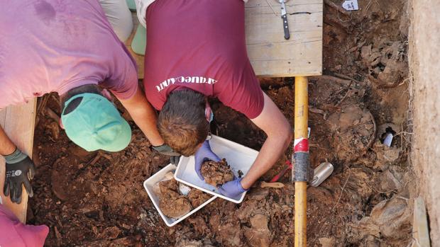 Cierran la fosa 92 del cementerio de Paterna con nueve cuerpos exhumados de víctimas del franquismo