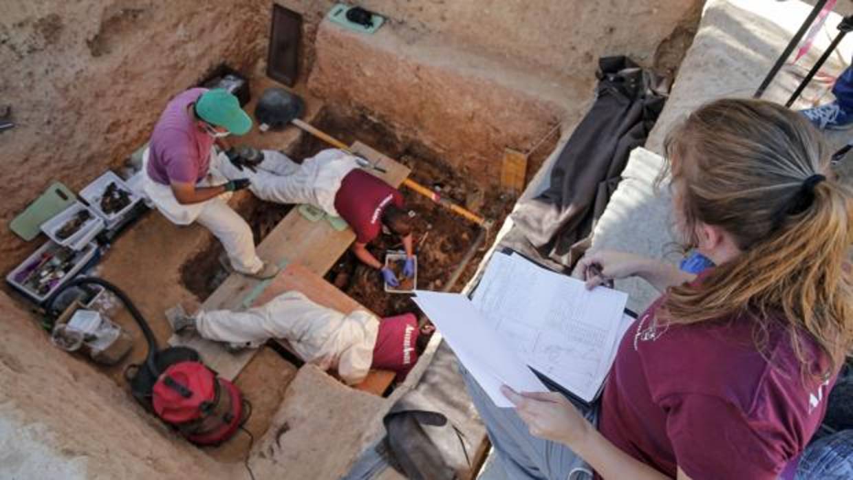 Vista de los trabajos en el cementerio de Paterna, donde se encuentran restos de personas fusiladas en el franquismo